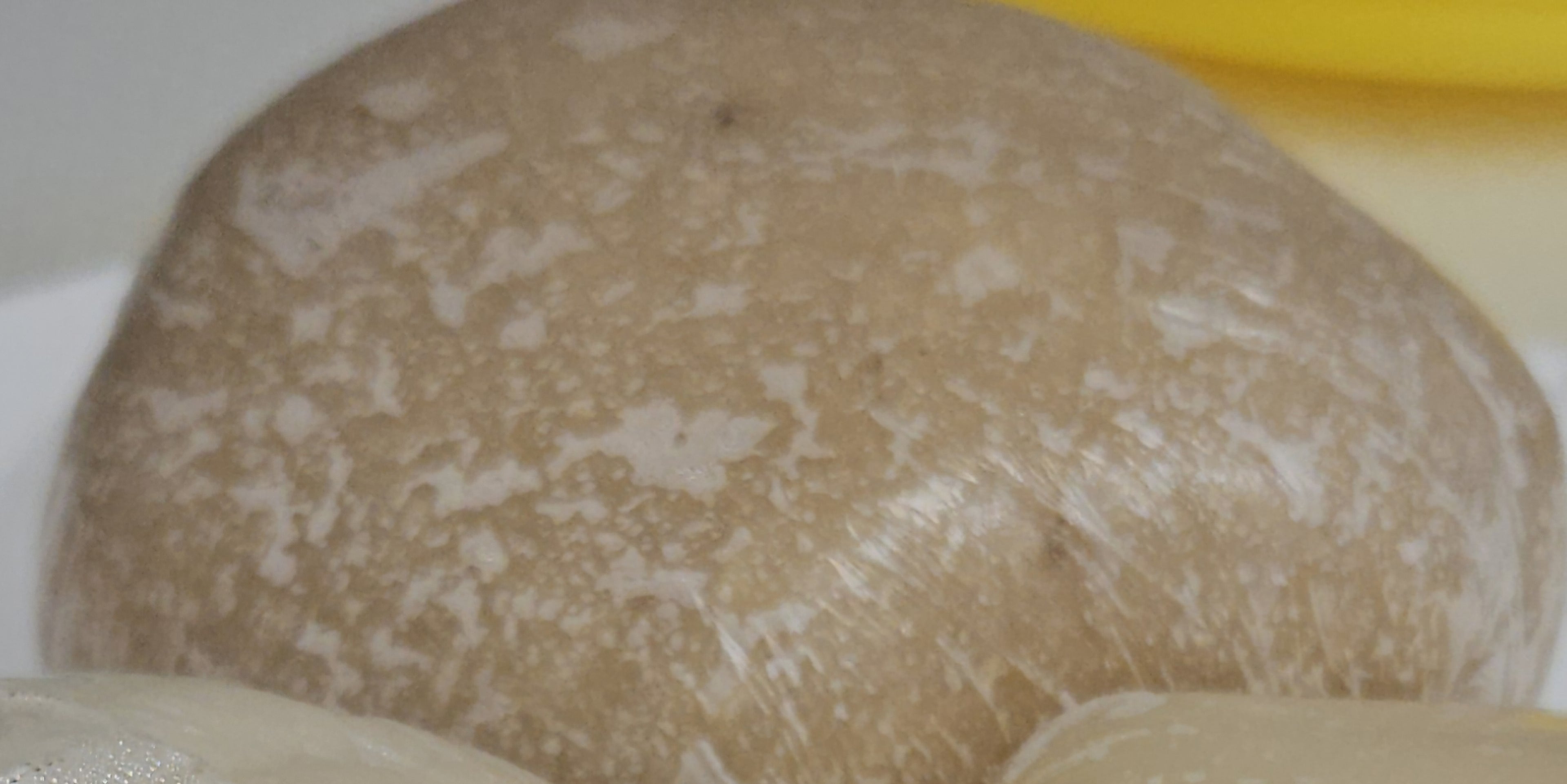 Eba- Gari (Swallow)