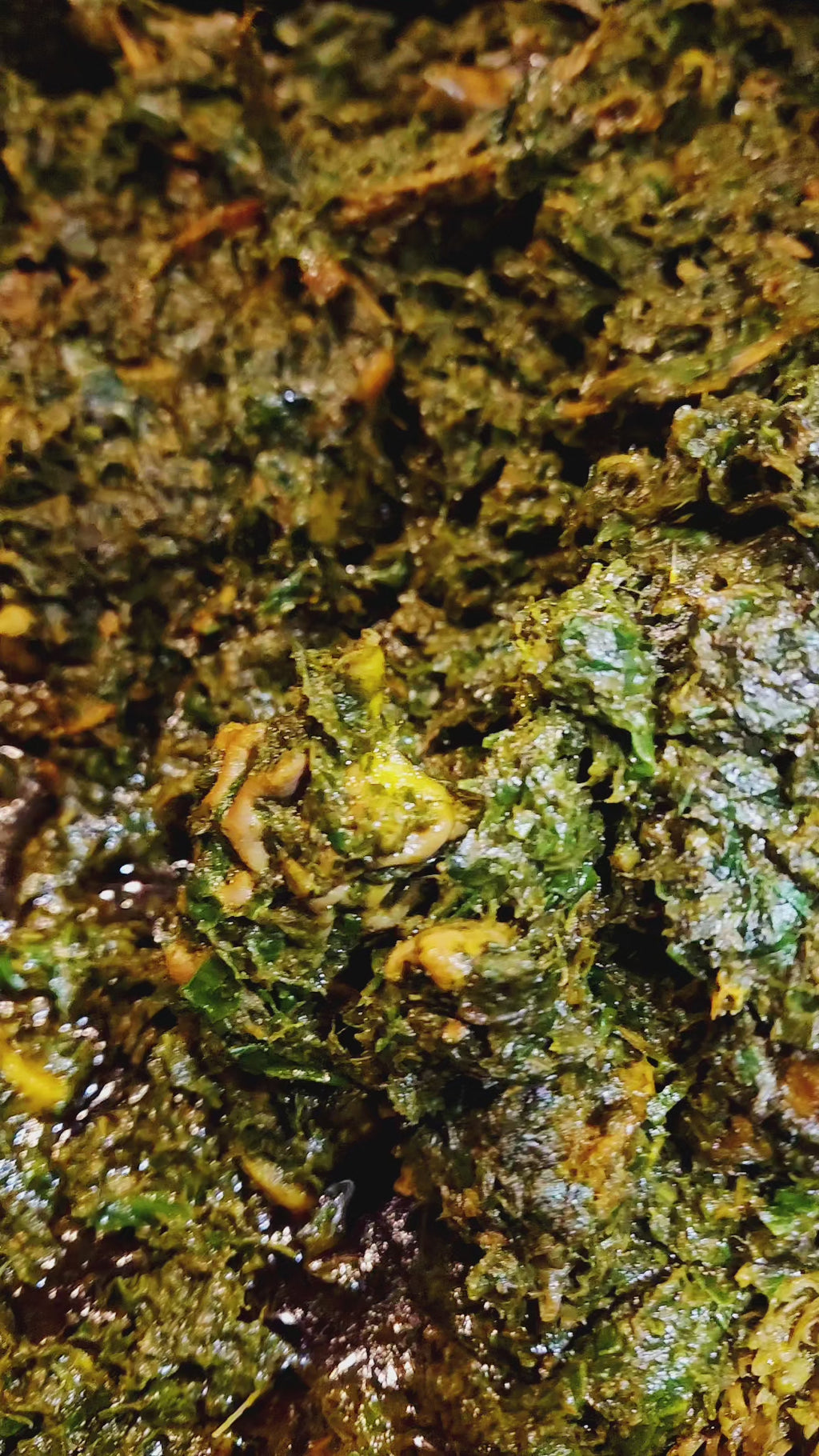 Affang Soup