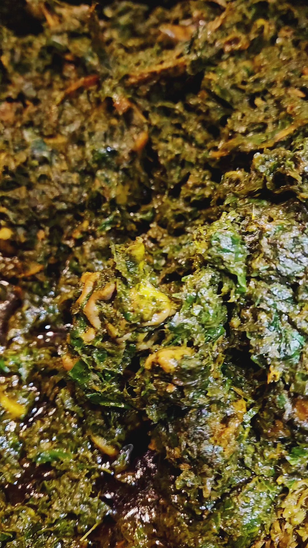Affang Soup
